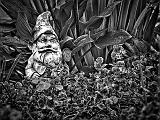 Garden Gnome_P1130445-7